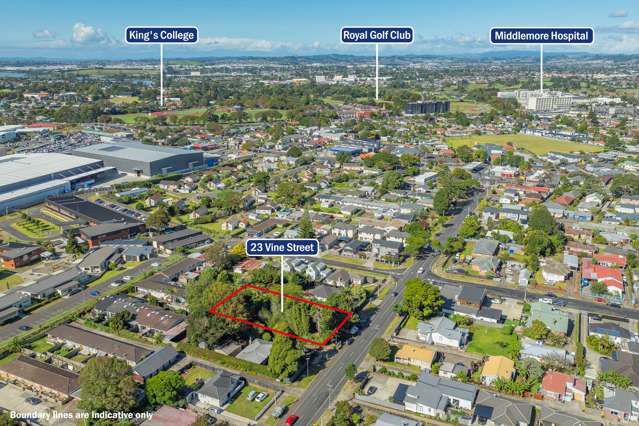 23 Vine Street Mangere East_2