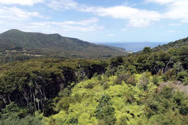 248 Rosalie Bay Road Great Barrier Island_3