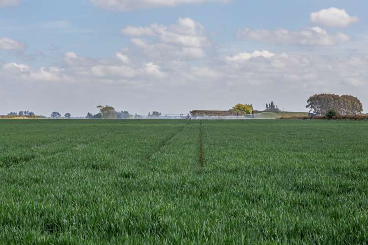 Selwyn Lake Road Leeston_13