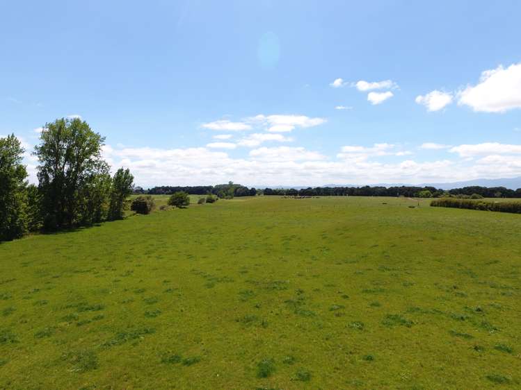 1318 Morrinsville-Tahuna Road Tahuna_5