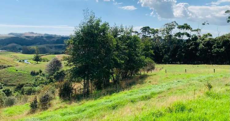 152 Aka Aka Road Puni_29