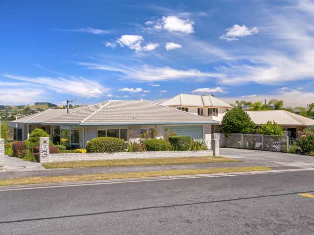 3 Egret Avenue Maungatapu_1