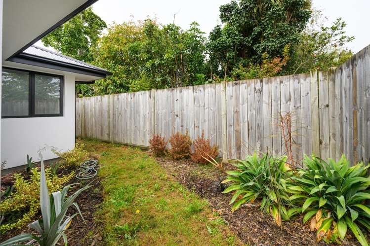 6 Ngaio Street West End_25
