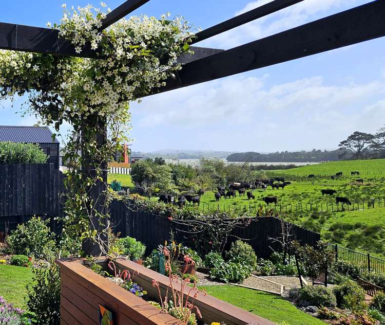 6C Goble Road Clarks Beach_11