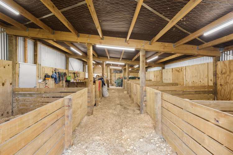 11 Horrell Road, Mandeville Gore_20