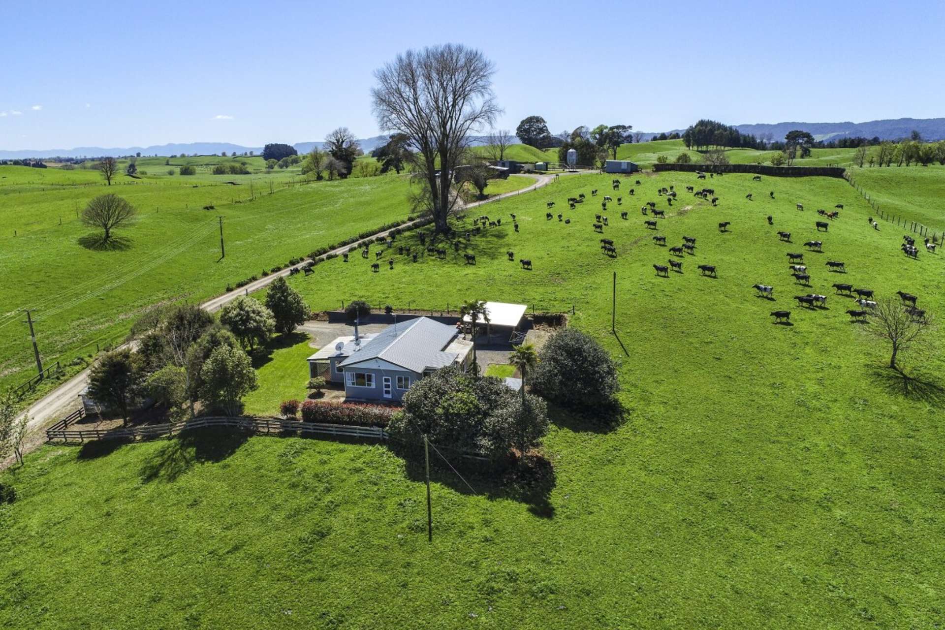 457 State Highway 5 Tirau_0