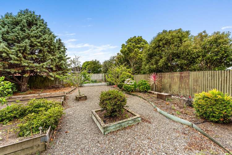 83 Dundas Road Sanson_17