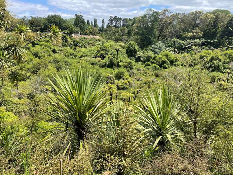 126e Woodcock Road Tamahere_12