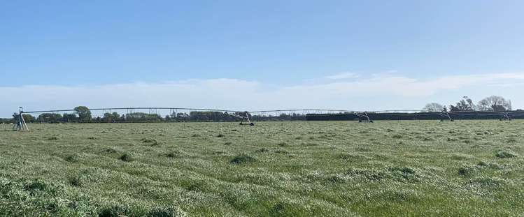 1267 Leeston Road Leeston_20