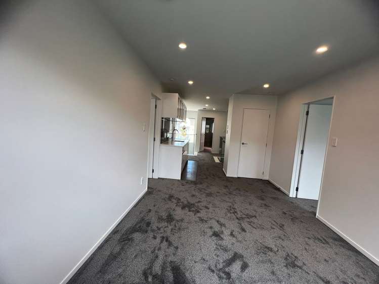 29a New Windsor Road Avondale_1