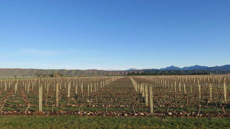 816 Waihopai Valley Road Waihopai Valley_0