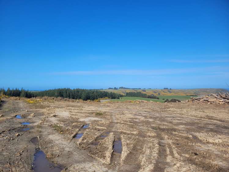 Taieri Beach Road Taieri Beach_13