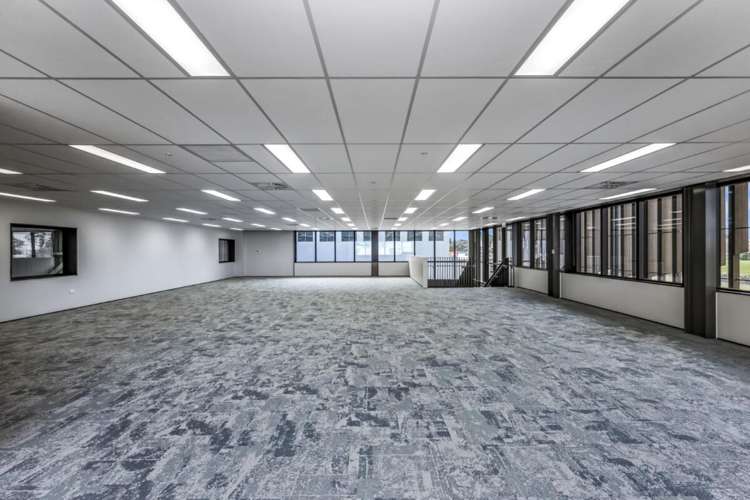 Warehouse A | 224 Neilson Street Onehunga_13