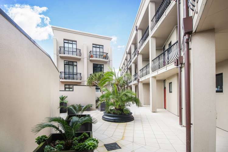 1s/6 Burgoyne Street Grey Lynn_14