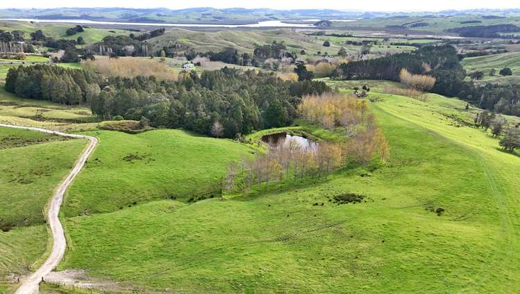 4062 Kaipara Coast Highway Tauhoa_21