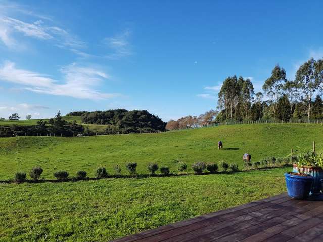 81 Leyland Road Whakamarama_1