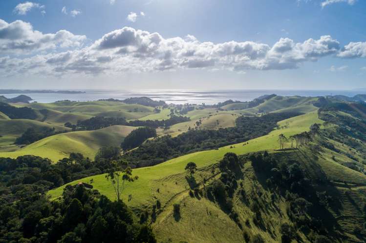 1133&1137 Matapouri Road Matapouri_49