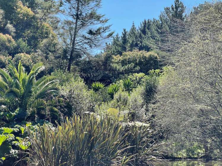 7 Pinnacle Hill Road Mangatawhiri_6