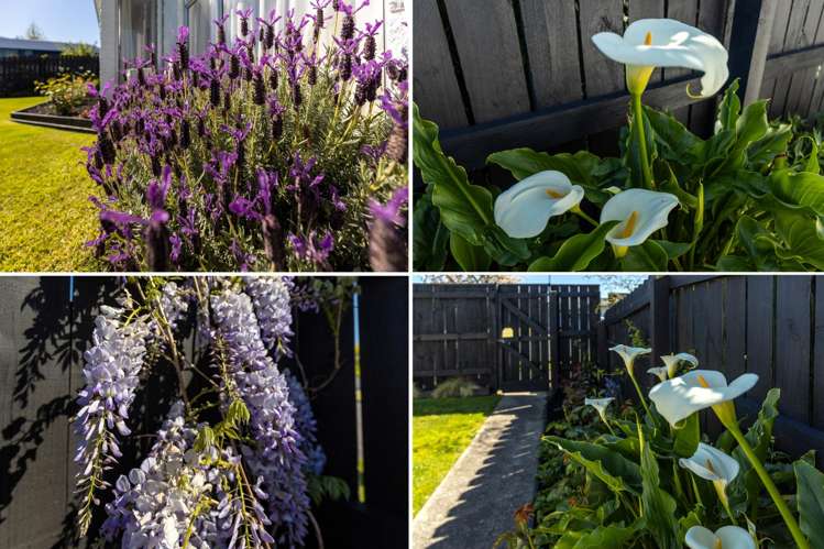 8 Ida Street Redwoodtown_26
