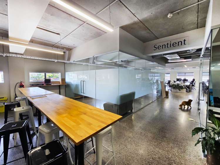 20 Augustus Terrace Parnell_5