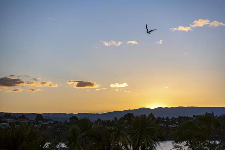 5/115 Fourth Avenue Tauranga Central_7