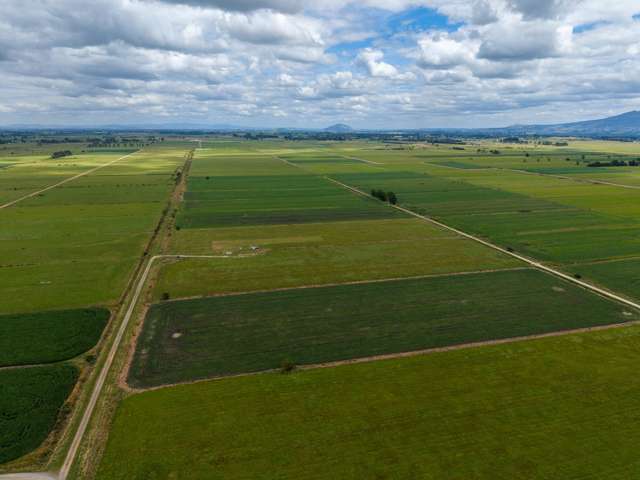 251 Collins Road Temple View_2