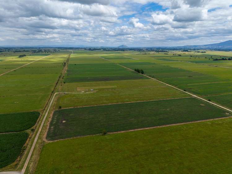 251 Collins Road Temple View_2