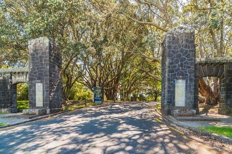 10 Wolseley Street Morningside_16