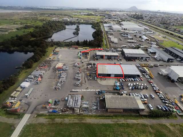 2/75 Curly McLeod Way Mt Maunganui_4