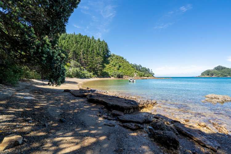 Motuketekete Island Kawau Bay_6