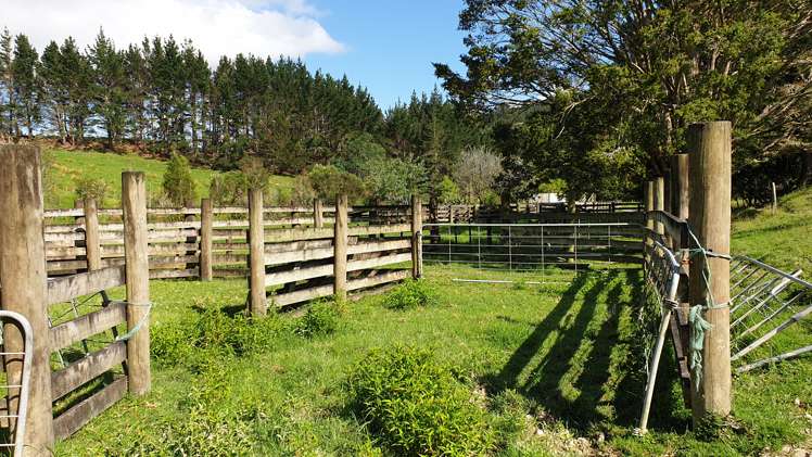 Lot 2/347 Porter Road Paparoa_18