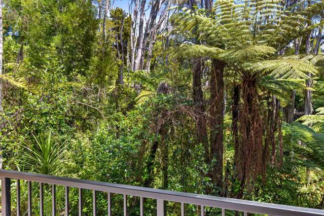 29 Tokai Place Glen Eden_1