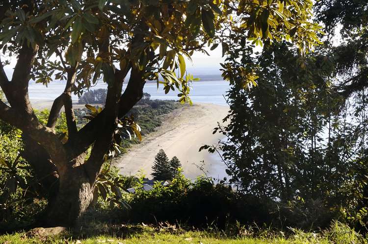 1 Moncrieff Avenue Britannia Heights_24