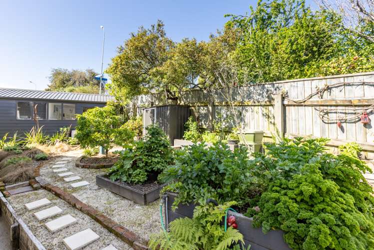 21 Cameron Road Bluff Hill_19