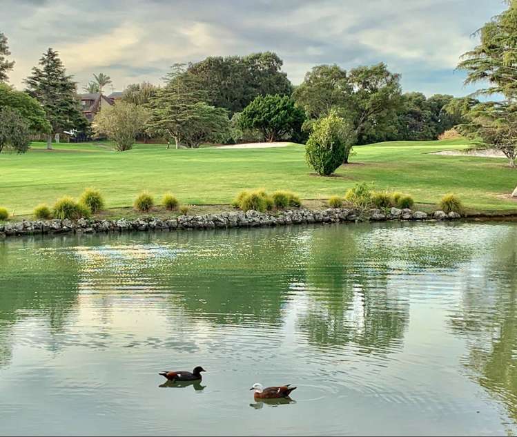 58 Panapa Drive Saint Johns_27