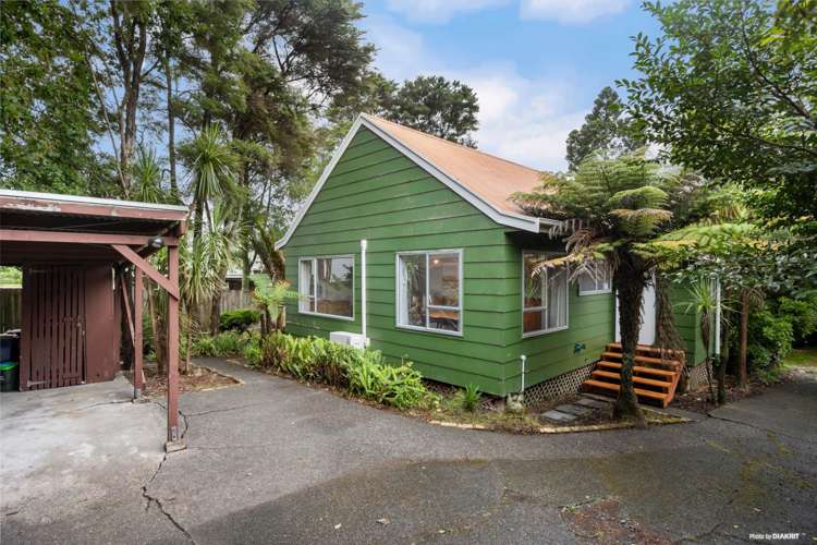 1/20 Wirihana Road Titirangi_10