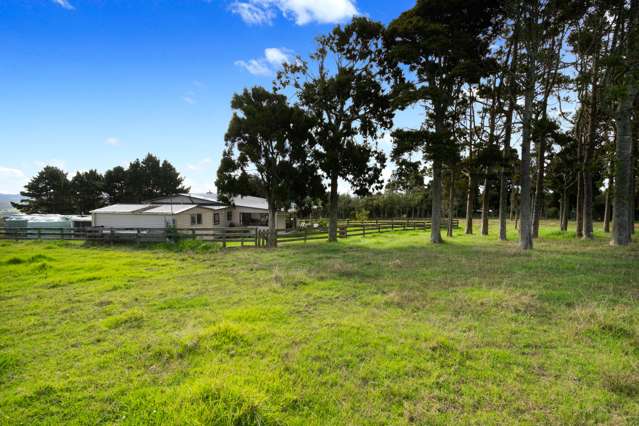 419 Kiwitahi Road Helensville_1