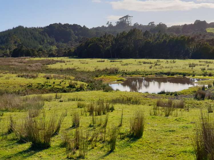 Sterling Road Paparoa_7