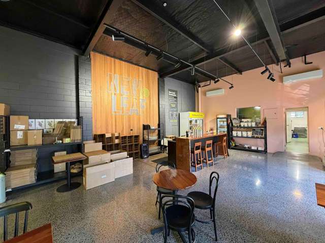 Suite A/37 Crummer Road Grey Lynn_1