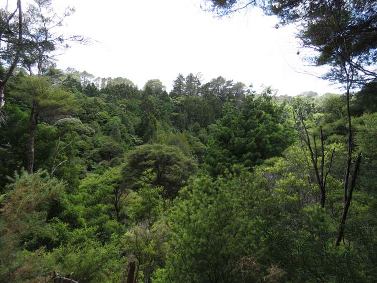 255 Awhitu Central Road Awhitu_12