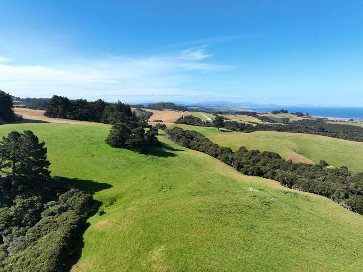 125 Sawmill Road Taieri Beach_1