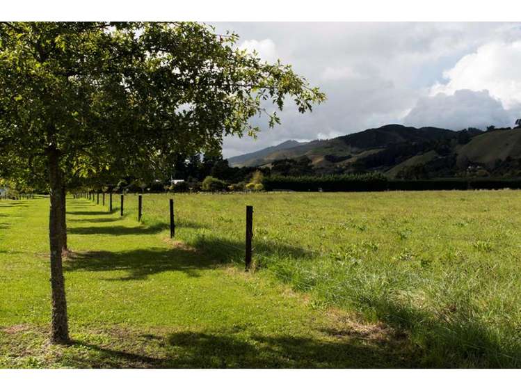 124 Clover Road East Hope_17