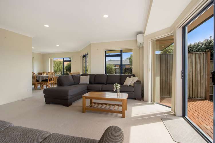 34b Park Road Katikati_5