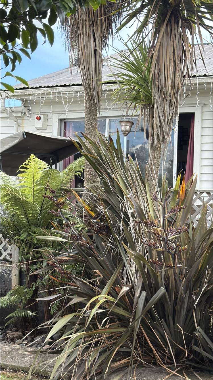 38 Reservoir Street_1