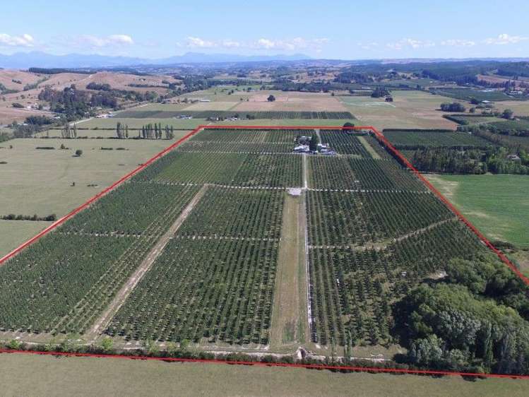 62 Edwards Road Lower Moutere_0