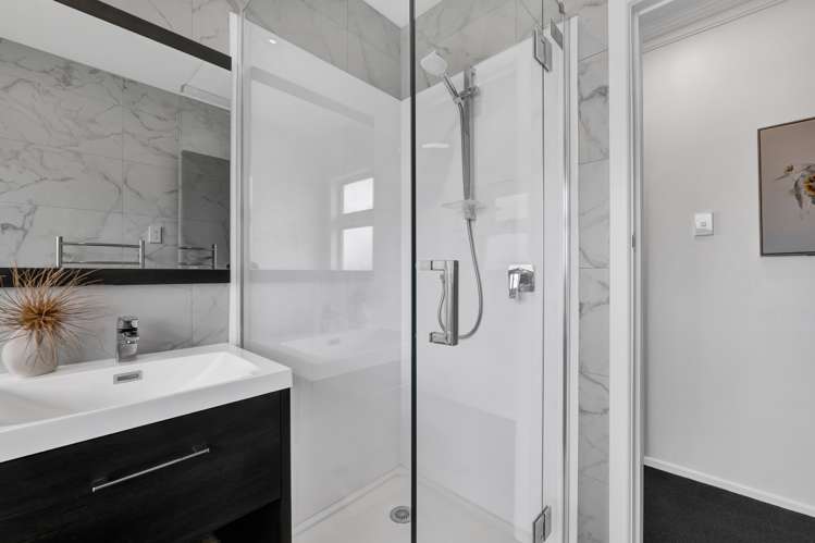 458 Carrington Street Upper Vogeltown_12