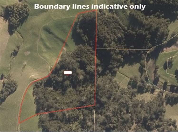 67 Fraser Road Kawakawa_17