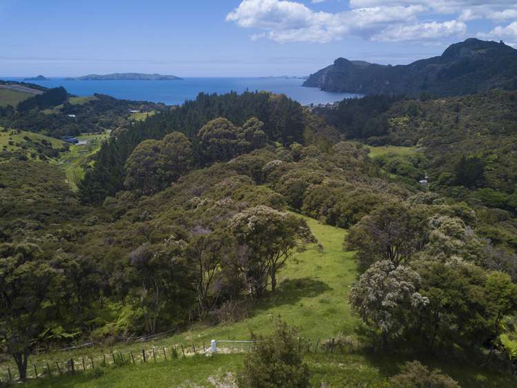 Lot 2 & 3/1032 Taupo Bay Road Taupo Bay_9