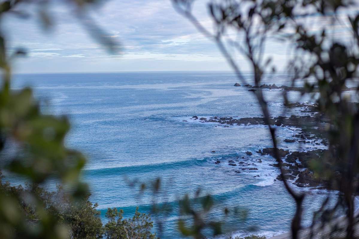 239 Houghton Bay Road_2