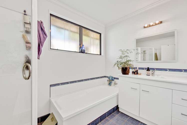 376 Suffolk Road Stoke_9